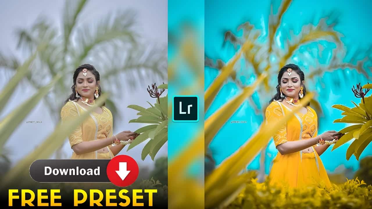 Yellow and Aqua Lightroom Preset